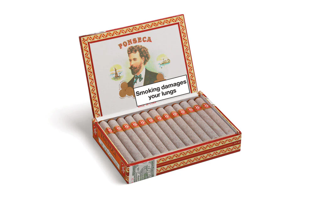 FONSECA – KDT CADETES - Image 2
